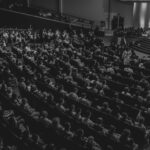 pexels jibarofoto 2774566